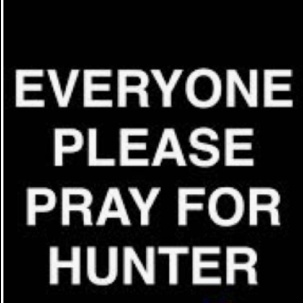 Update! Pictures added of Hunter - Picture 1 of 8